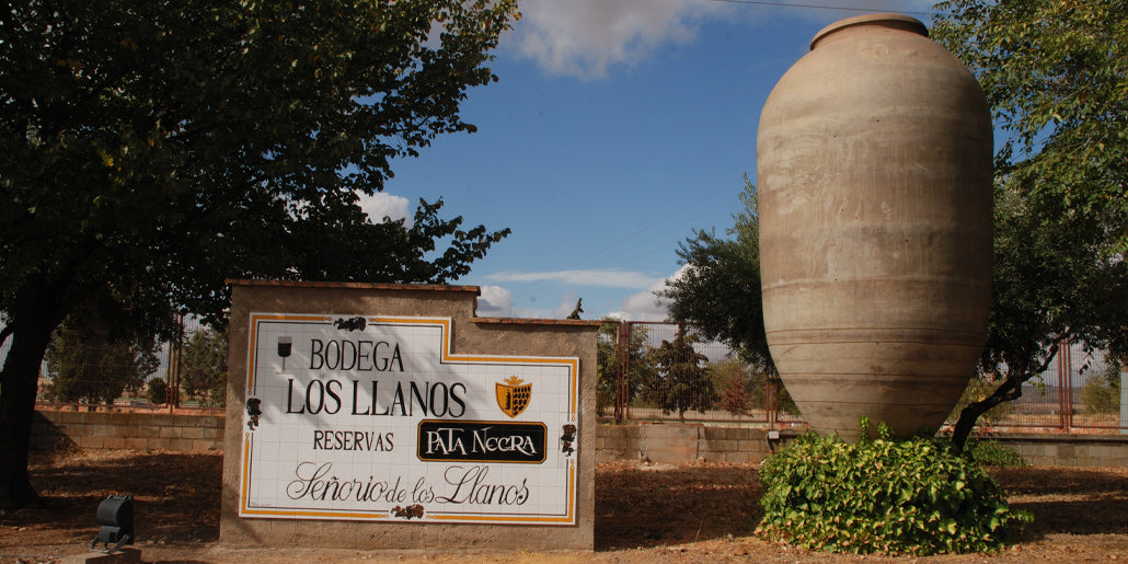 Entrada Bodega Señorío de los Llanos 